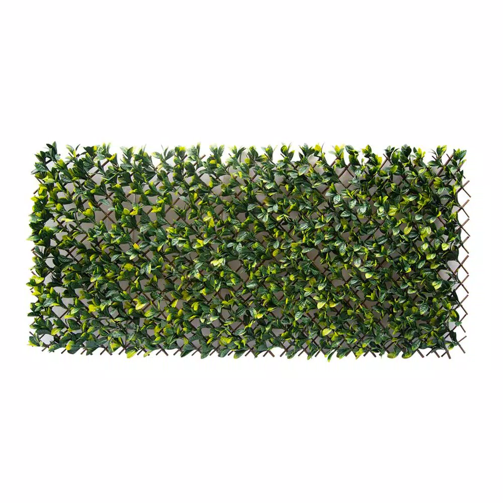 Greensmart Decor 40 in. x 80 in. Artificial Lemon Leaf Lattice Privacy Screen