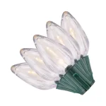 Home Accents Holiday C9 LED Warm White String Lights, 100 Count (Set of 2), 65.4 ft Total Length, Indoor/Outdoor thumbnail 1
