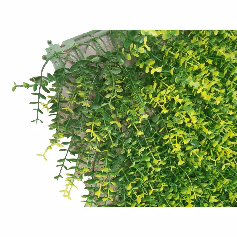 Ejoy GorgeousHome Artificial Ficus Boxwood Hedge Greenery Panels, 20 in. x 20 in. (12-Pack)