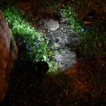 LUMABASE Solar Powered Black Outdoor Spotlights, Set of 2 - White LED Path Lights thumbnail 4