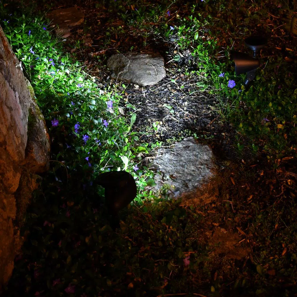 LUMABASE Solar Powered Black Outdoor Spotlights, Set of 2 - White LED Path Lights