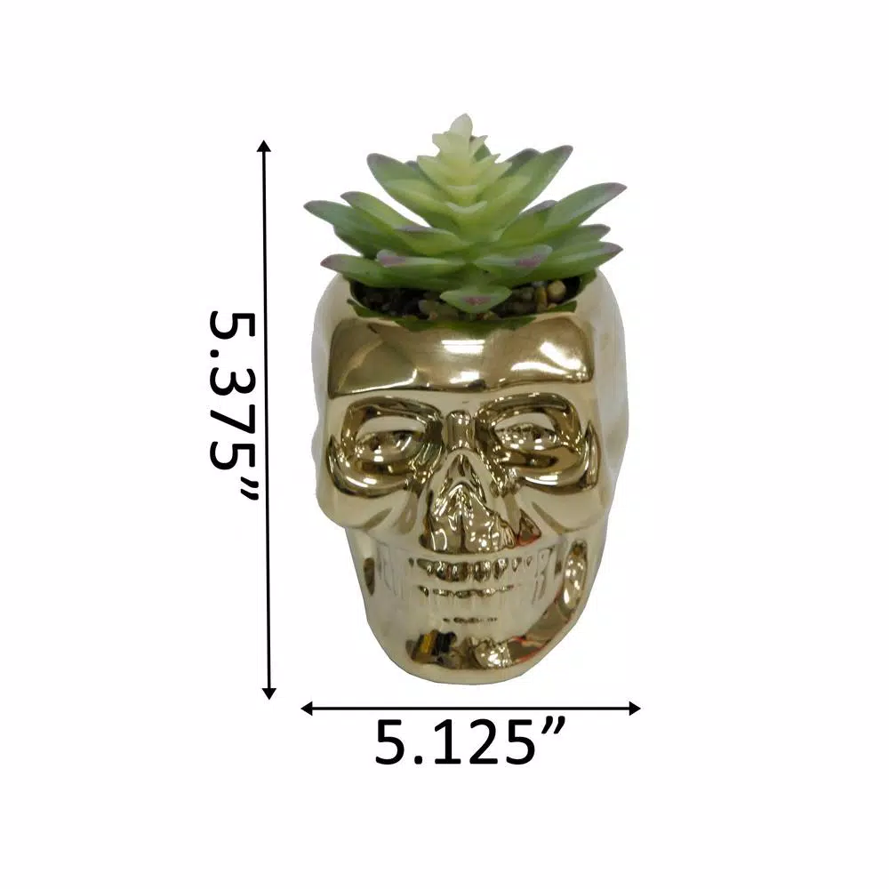 Flora Bunda 5.1 in. Metallic Gold Ceramic Sugar Skull Artificial Succulent Planter