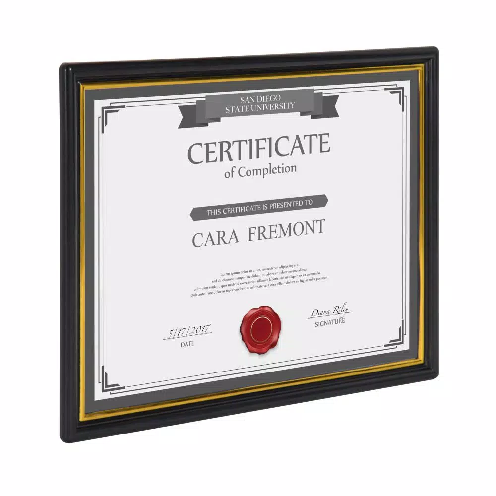 DesignOvation Corporate Document Frames, 8.5 x 11 in., Black with Gold Accent Trim (Set of 12)