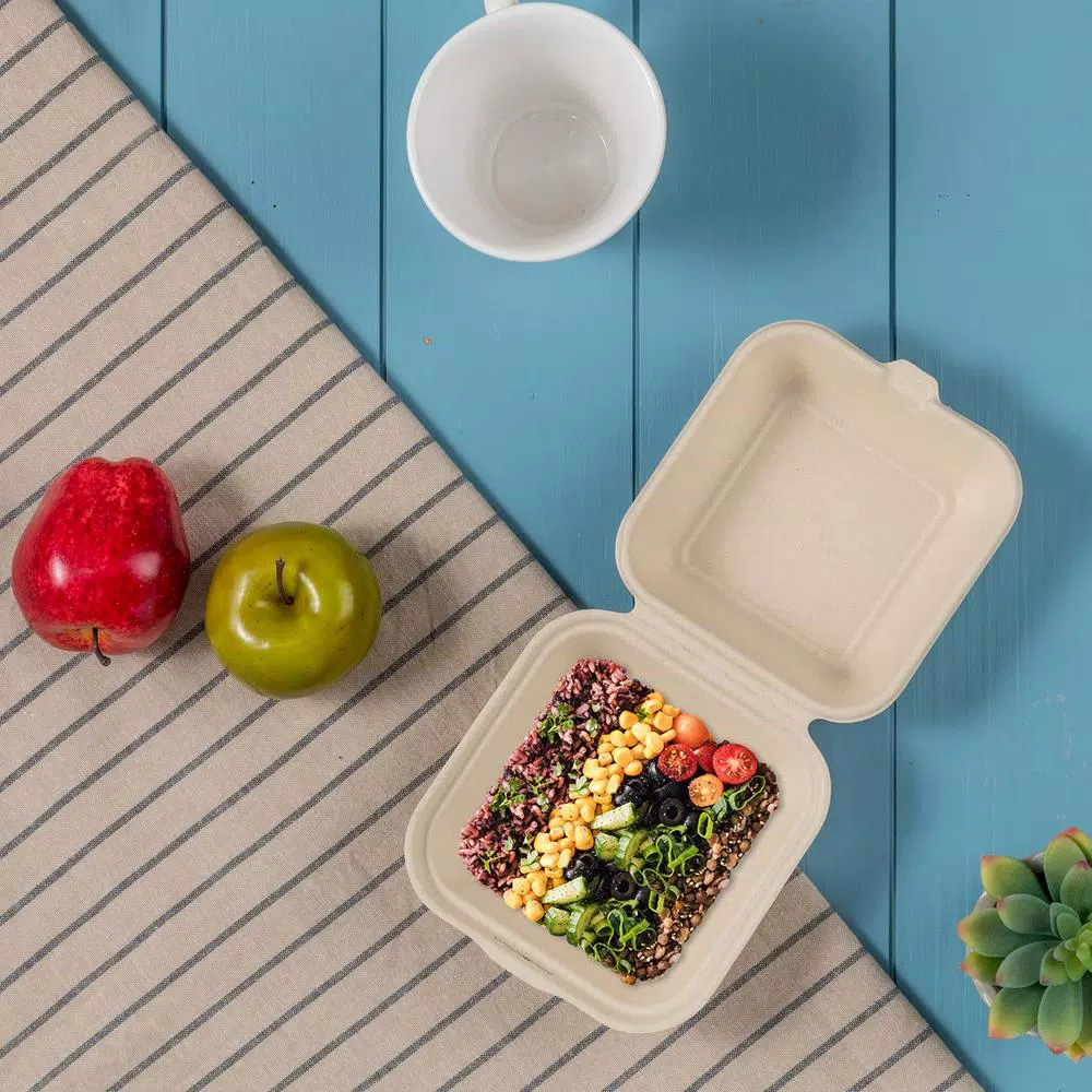 Unbranded 6 in. White Sugarcane Clamshell Containers, Compostable & Eco-Friendly (300 Pack)