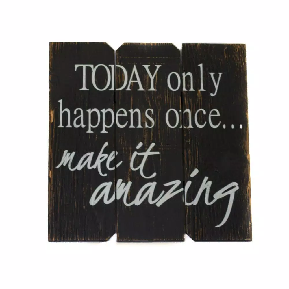 Unbranded Boulder Innovations "Today Only Happens Once" 16 in. x 16 in. Wooden Wall Art Sign
