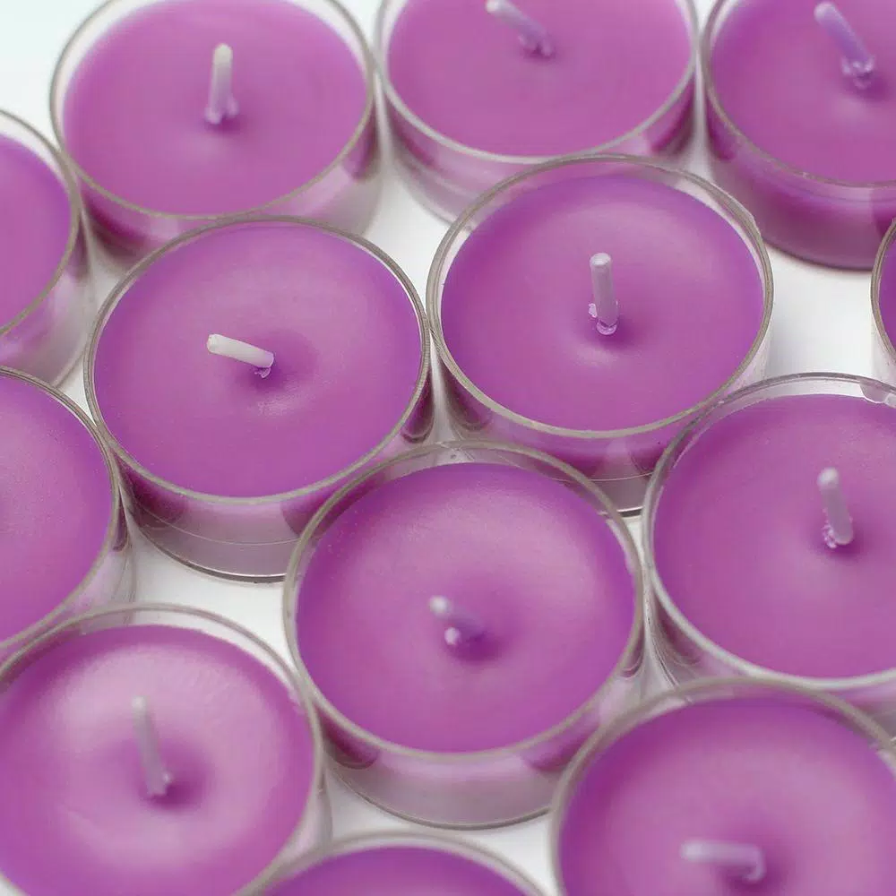 Zest Candle Purple Tealight Candles, 1.5 in. Diameter (50-Pack)