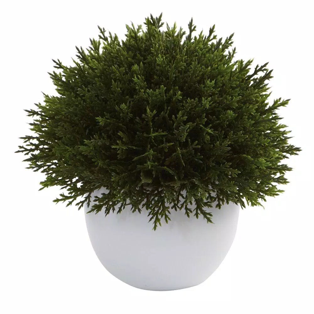 Nearly Natural Mixed Cedar Topiary Collection, Set of 3 with Ceramic Planters