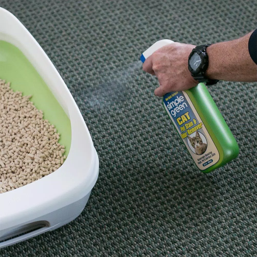 Simple Green Cat Stain and Odor Remover, 32 oz. Pet Urine and Mess Cleaner