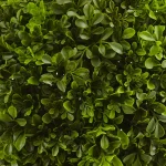 Nearly Natural 23 in. Faux Boxwood Ball Topiary with Gray Planter thumbnail 2