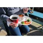 Unbranded Palm Tree Design Food and Drink Holder, 32-Piece Set, Durable Plastic Serveware thumbnail 7