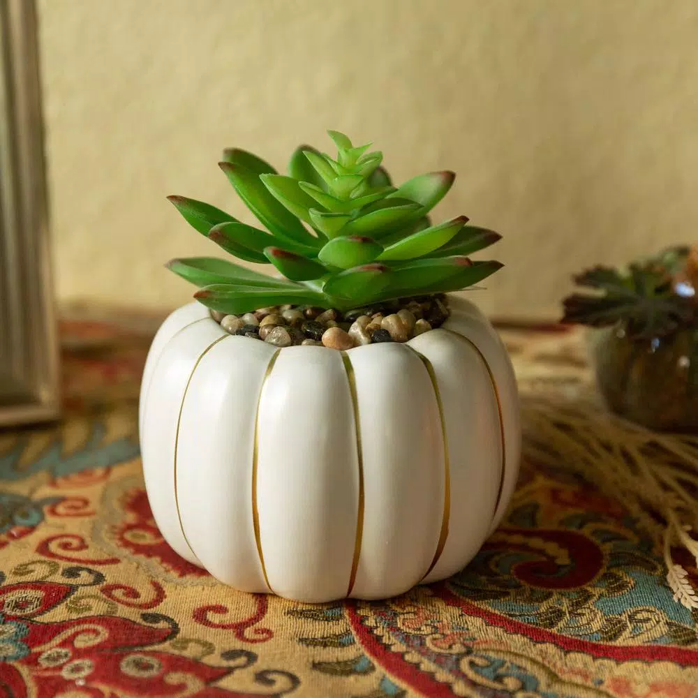 Flora Bunda 5 in. Fall Harvest Artificial Green Succulent in Cream Ceramic Pumpkin Pot with Gold Line