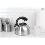 Home Basics 10.5-Cup Stainless Steel Whistling Tea Kettle, Silver thumbnail 4