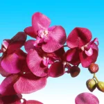 National Tree Company 24 in. Pink Silk Orchid in Decorative Beige Ceramic Pot thumbnail 3