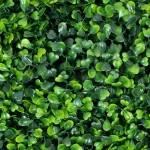 Ejoy Milan Artificial Boxwood Hedge Greenery Panels, 20 in. x 20 in. (6-Piece Set) thumbnail 3