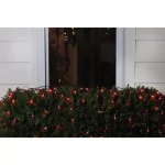 Northlight 4 ft. x 6 ft. Red LED Net Style Christmas Lights with Green Wire, 150 Bulbs thumbnail 2