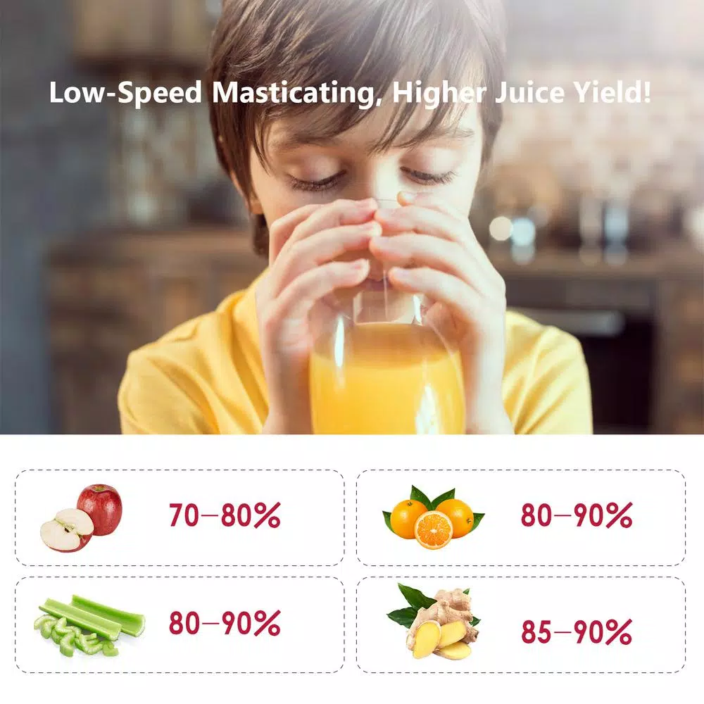 Boyel Living 200W Stainless Steel Slow Masticating Juicer, Quiet Cold Press Juicer with Reverse Function, Silver