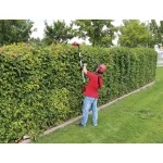 Einhell PXC 18V Cordless 18 in. Telescoping Pole Hedge Trimmer, 0.5 in. Cutting Diameter (Tool Only) thumbnail 4