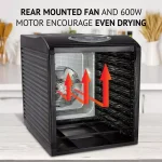 Ivation 9-Tray Electric Food Dehydrator with Digital Timer & Temperature Control, 600W thumbnail 4