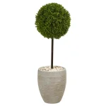 Nearly Natural 3 ft. Artificial Boxwood Ball Topiary Tree in Sand Colored Oval Planter thumbnail 1