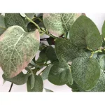 Glitzhome 24 in. Green Artificial Eucalyptus Wreath with Frosted Leaves and Grapevine Base thumbnail 5