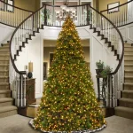 National Tree Company 14 ft. Feel Real Downswept Douglas Fir Artificial Christmas Tree with 1600 Dual Color LED Lights thumbnail 2
