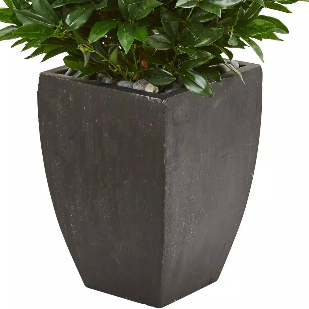 Nearly Natural 56-In. Bay Leaf Cone Topiary Artificial Tree with Black Planter, UV-Resistant Indoor/Outdoor