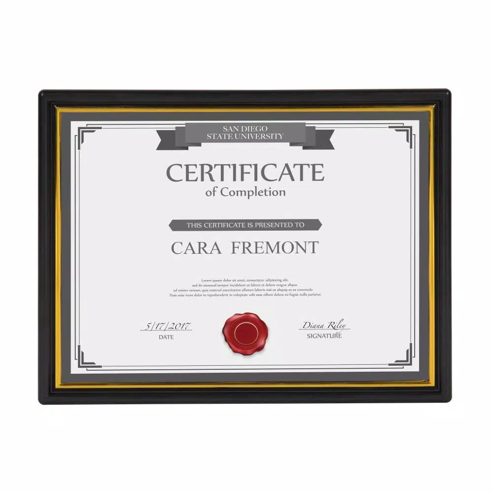 DesignOvation Corporate Document Frames, 8.5 x 11 in., Black with Gold Accent Trim (Set of 12)