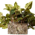Nearly Natural 15in. Green Pothos Ledge Silk Plant - Indoor Artificial Bush thumbnail 2