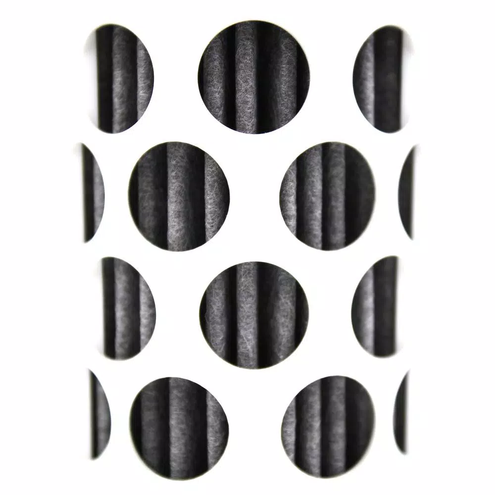 Aquasana Active Filter Bottle Replacement Cartridges, 2-Pack