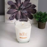 ROOT CANDLES Veriglass Japanese Cedarwood Scented Soy Jar Candle thumbnail 1