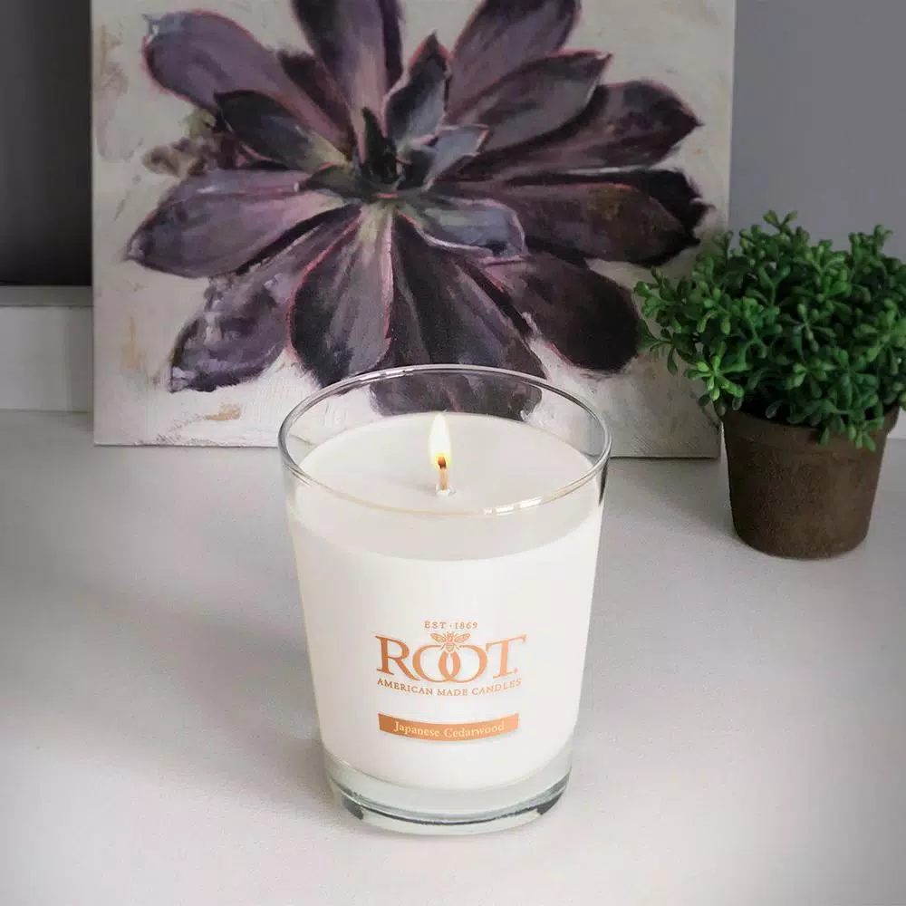 ROOT CANDLES Veriglass Japanese Cedarwood Scented Soy Jar Candle