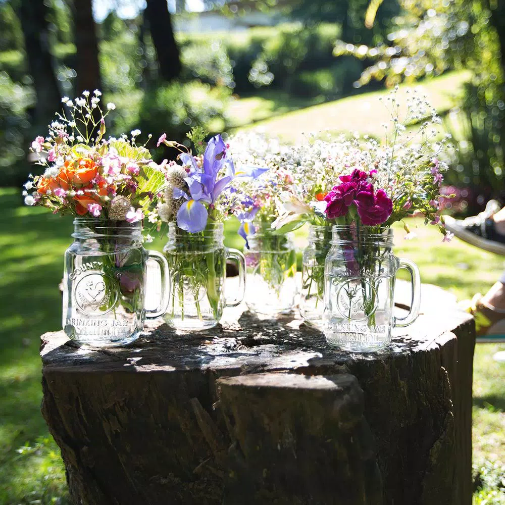 Libbey County Fair 12-Piece Clear Glass Drinking Jar Set with Embossed Rooster, 16.5 oz