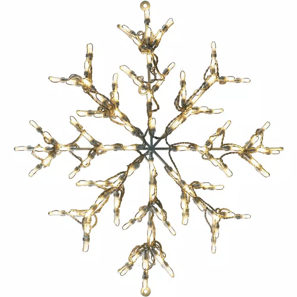 Fraser Hill Farm 30 in. LED Snowflake Specialty Light, 100 Warm White Lights