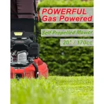 PowerSmart Power Smart PSM2020 20 in. 170 cc Gas Self-Propelled 3-in-1 Walk Behind Lawn Mower thumbnail 5