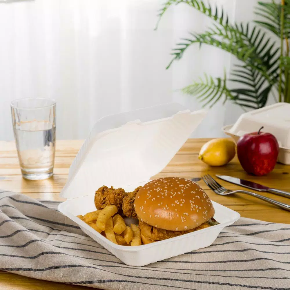 Unbranded 8 in. White Sugarcane Clamshell Containers, Compostable & Eco-Friendly (300 Pack)