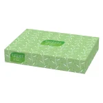 Kimberly-Clark PROFESSIONAL Surpass Facial Tissue 2-Ply, 100-Count White Tissues thumbnail 1