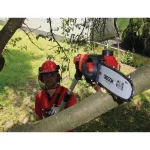 Einhell 18V PXC Cordless 3-in-1 Multi-Tool Kit: Pole Saw, Hedge Trimmer & Telescoping Tool with 3.0 Ah Battery thumbnail 11