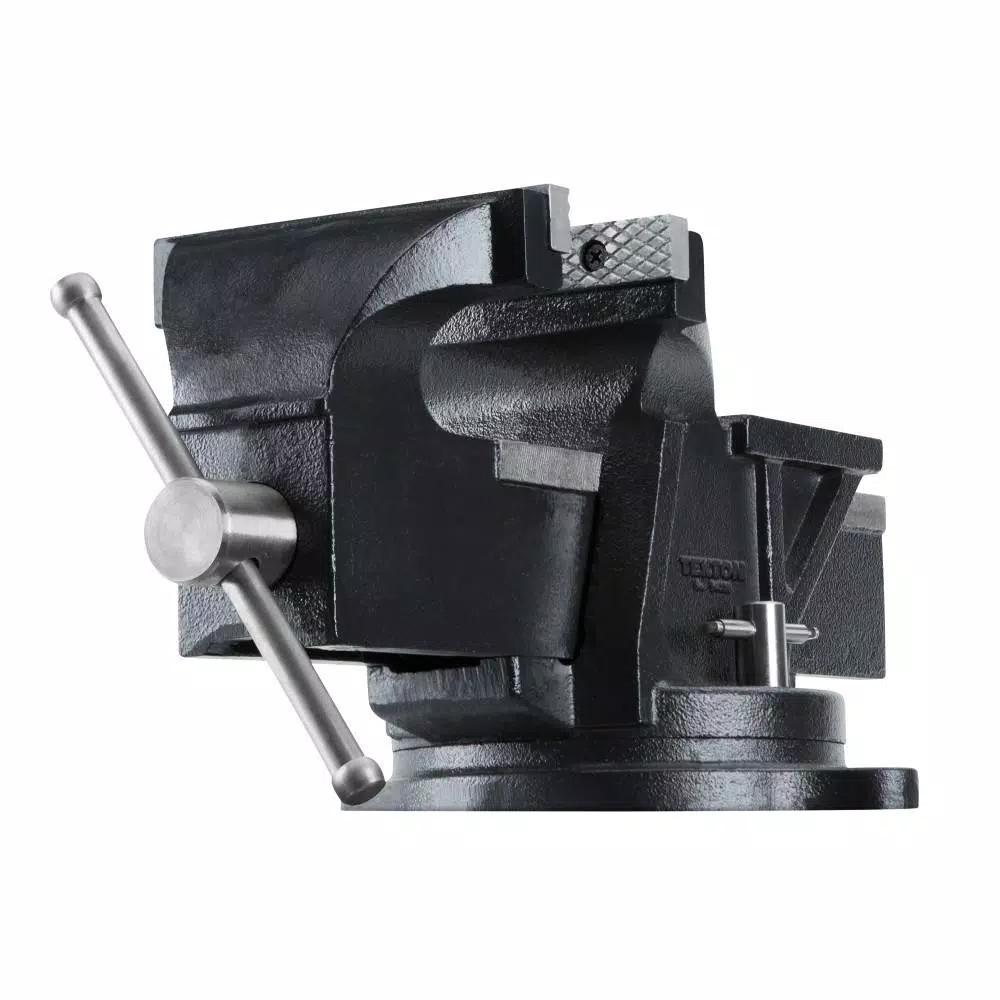 TEKTON 6 in. Swivel Bench Vise with Polished Anvil