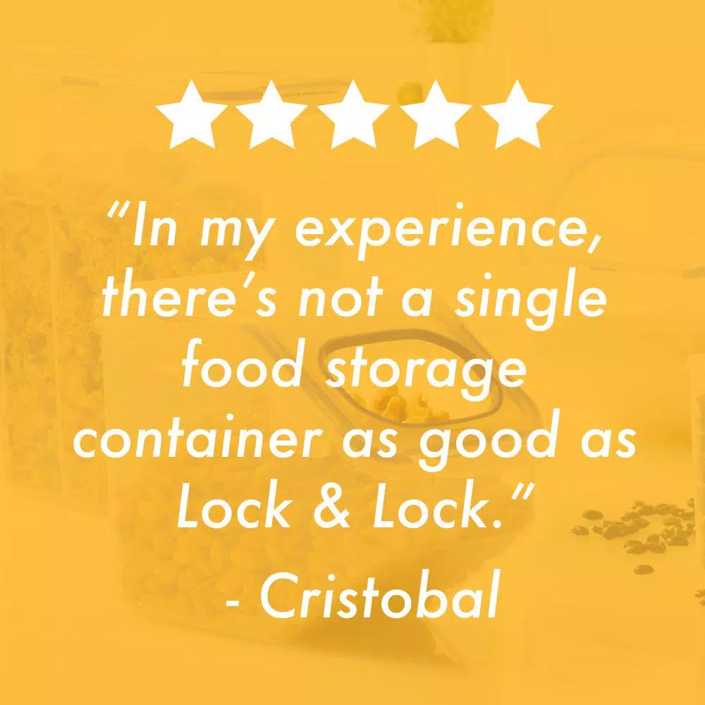 LOCK & LOCK Easy Essentials Pantry 16.5-Cup Rectangular Food Storage Container, Airtight & Leakproof Plastic Container