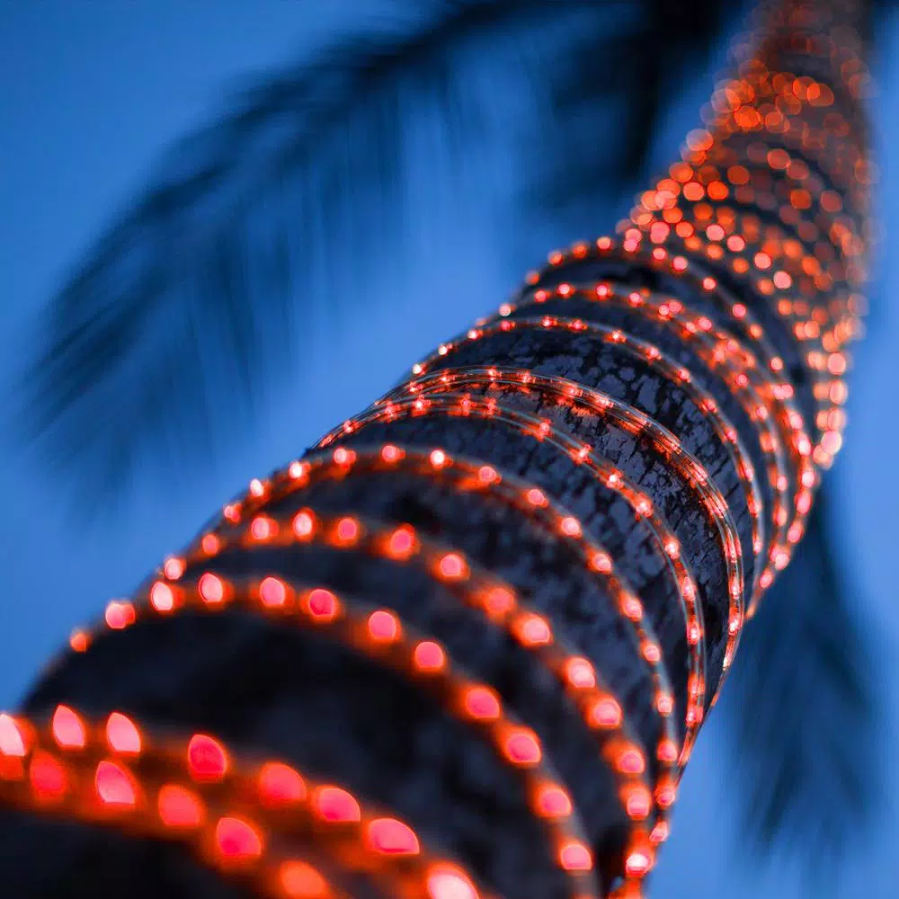 Wintergreen Lighting 150 ft. Red LED Rope Light Kit, Dimmable & Weather Resistant