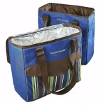 Rachael Ray ChillOut To Go Blue Deluxe Thermal Tote Set of 2 - Insulated Cooler & Dry Storage Bags thumbnail 2