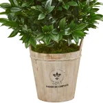 Nearly Natural 39-In. Artificial Bay Leaf Cone Topiary Tree in Rustic Farmhouse Planter thumbnail 3