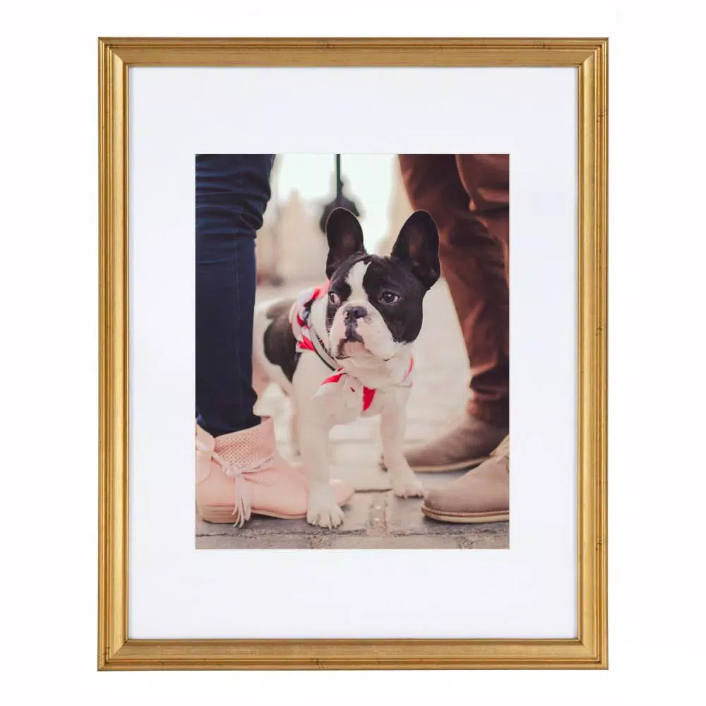Kate and Laurel Adlynn Gold Picture Frame Set, 11 x 14 in. and 8 x 10 in. with Mats, Set of 4