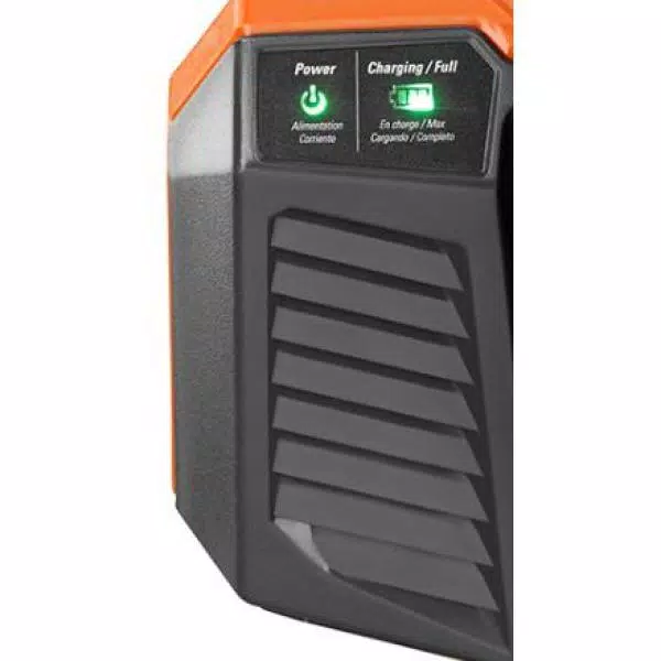 RIDGID 18V Dual Chemistry Rapid Battery Charger for Ni-Cd and Lithium-Ion