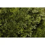 National Tree Company 60 in. Double Cedar Artificial Spiral Topiary Tree with Green Round Grower Pot thumbnail 2