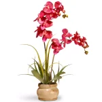 National Tree Company 24 in. Pink Silk Orchid in Decorative Beige Ceramic Pot thumbnail 1