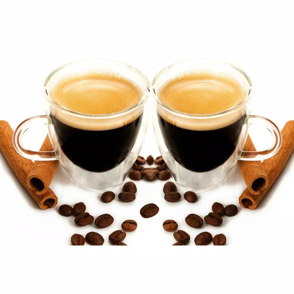 GROSCHE Turin Double-Walled Borosilicate Glass Espresso Cups with Handles, 4.7 oz (Set of 2)