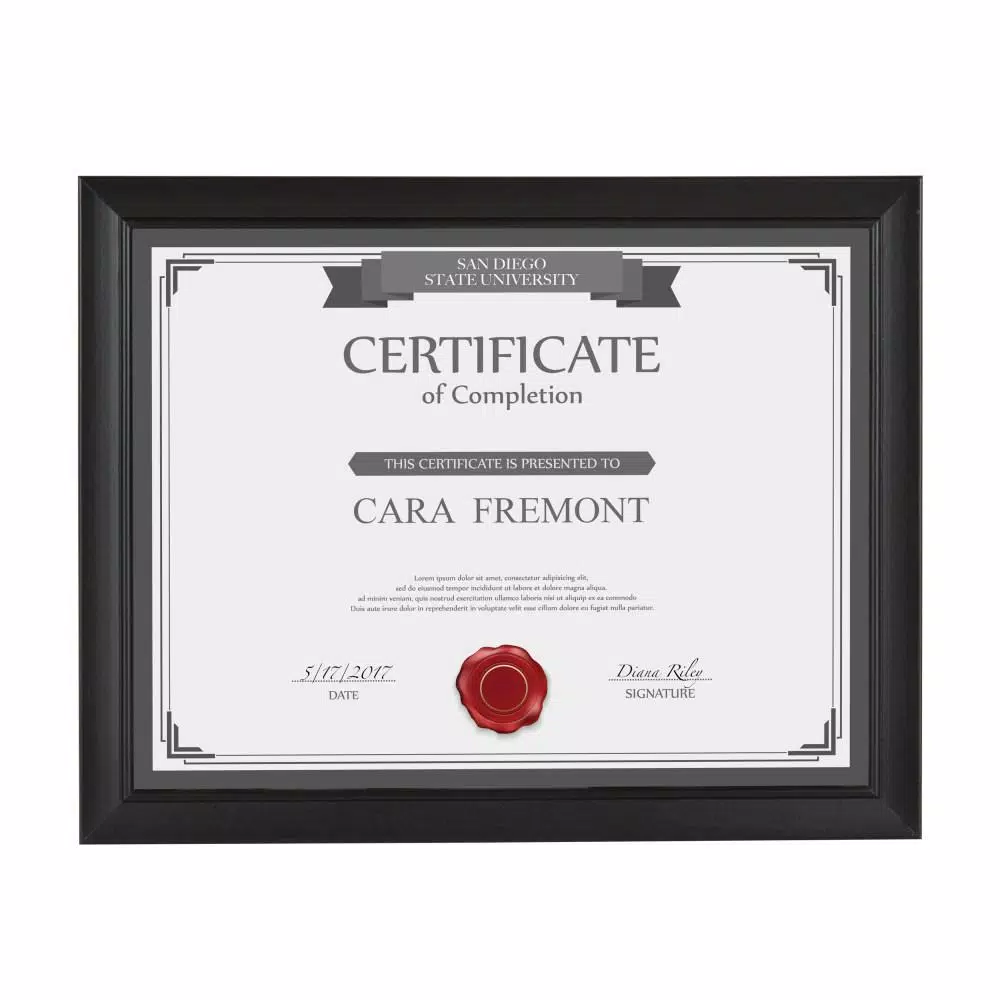 DesignOvation Design Ovation Cornell 8.5 x 11 in. Black Document Picture Frame Set of 4