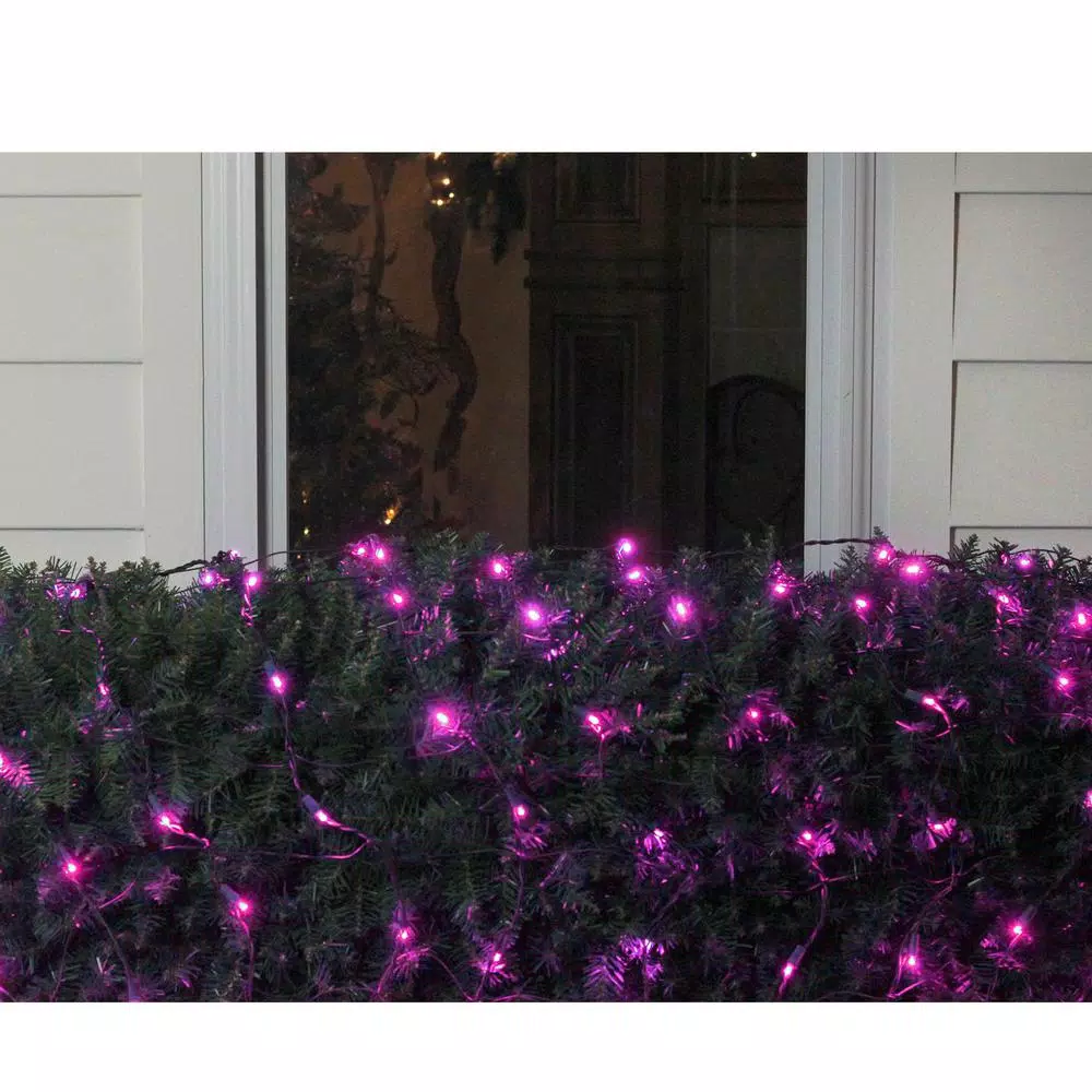 Northlight 4 ft. x 6 ft. Pink LED Net Style Christmas Lights with Green Wire, 150 Bulbs