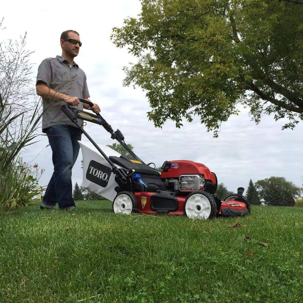 Toro Recycler 22 in. Self-Propelled Gas Lawn Mower with Briggs & Stratton Engine